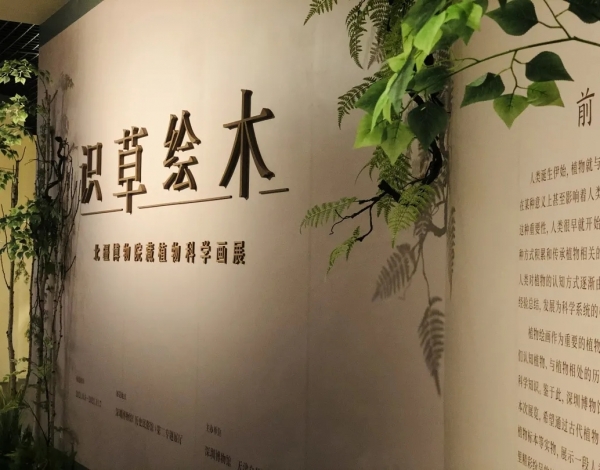 抓住暑假的尾巴，帶孩子感受博物館藝術(shù)的“光合作用”！